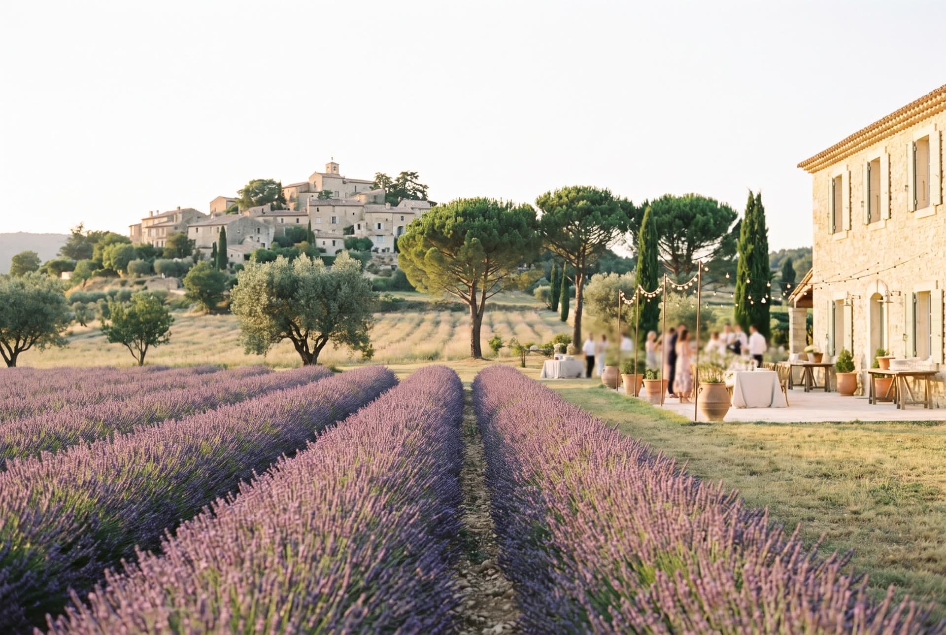 Champ de lavande en fleurs menant à un village perché de Provence, près du domaine